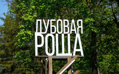 Вывеска дубовая роша