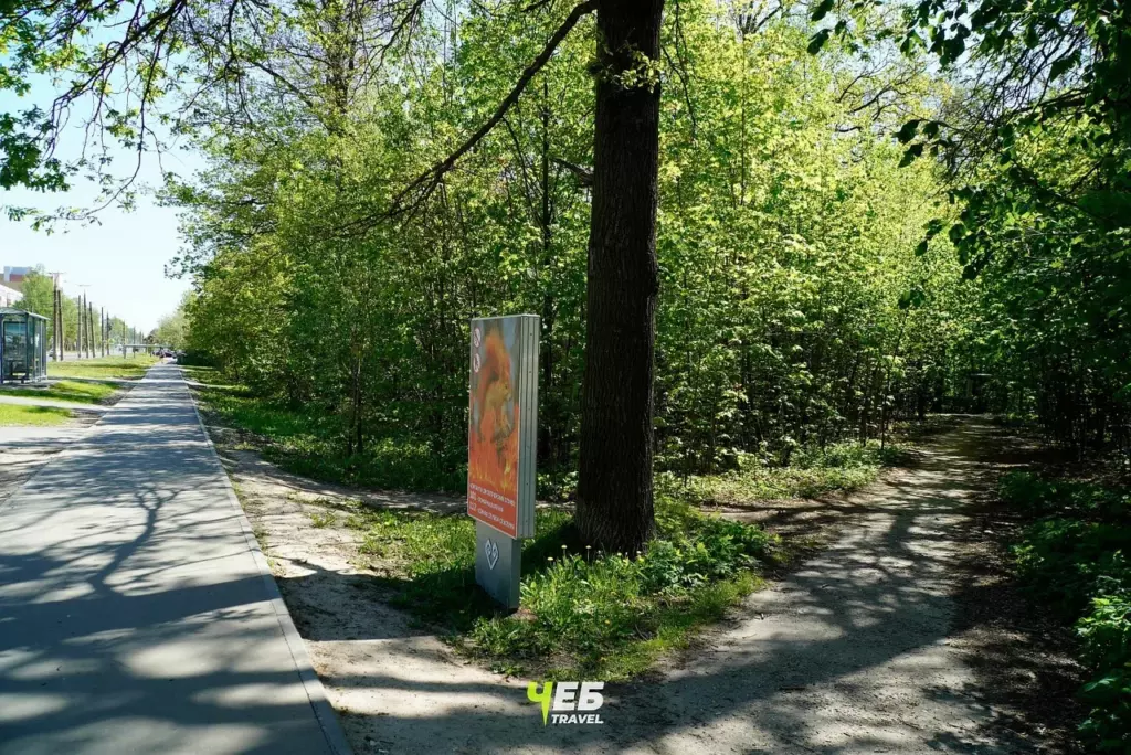 Ворошиловский лес