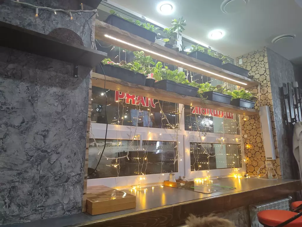 Соль/Анка, вид внутри