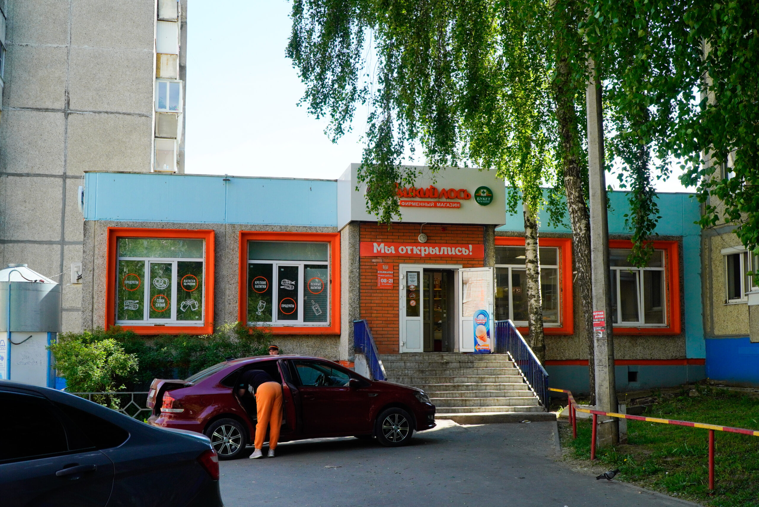 Дикий лось