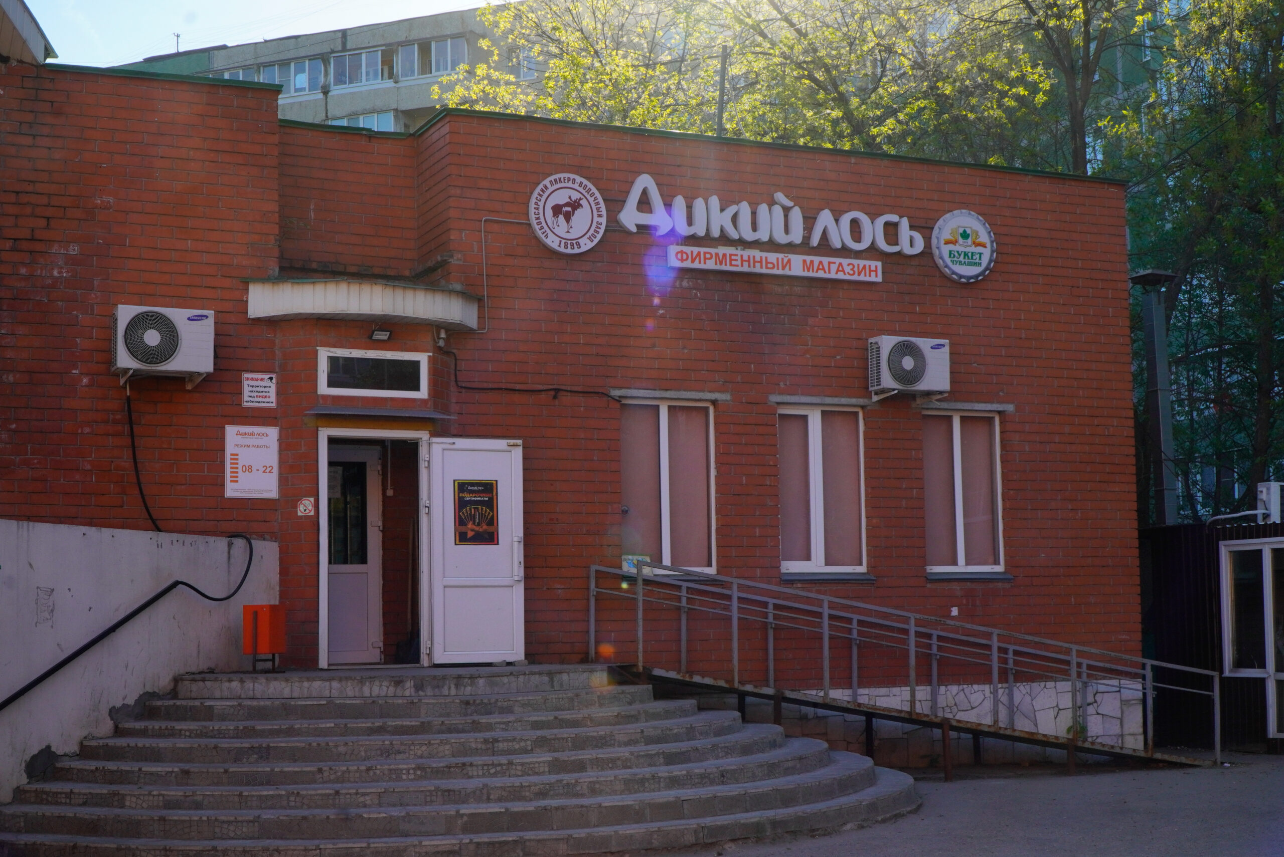 Дикий лось