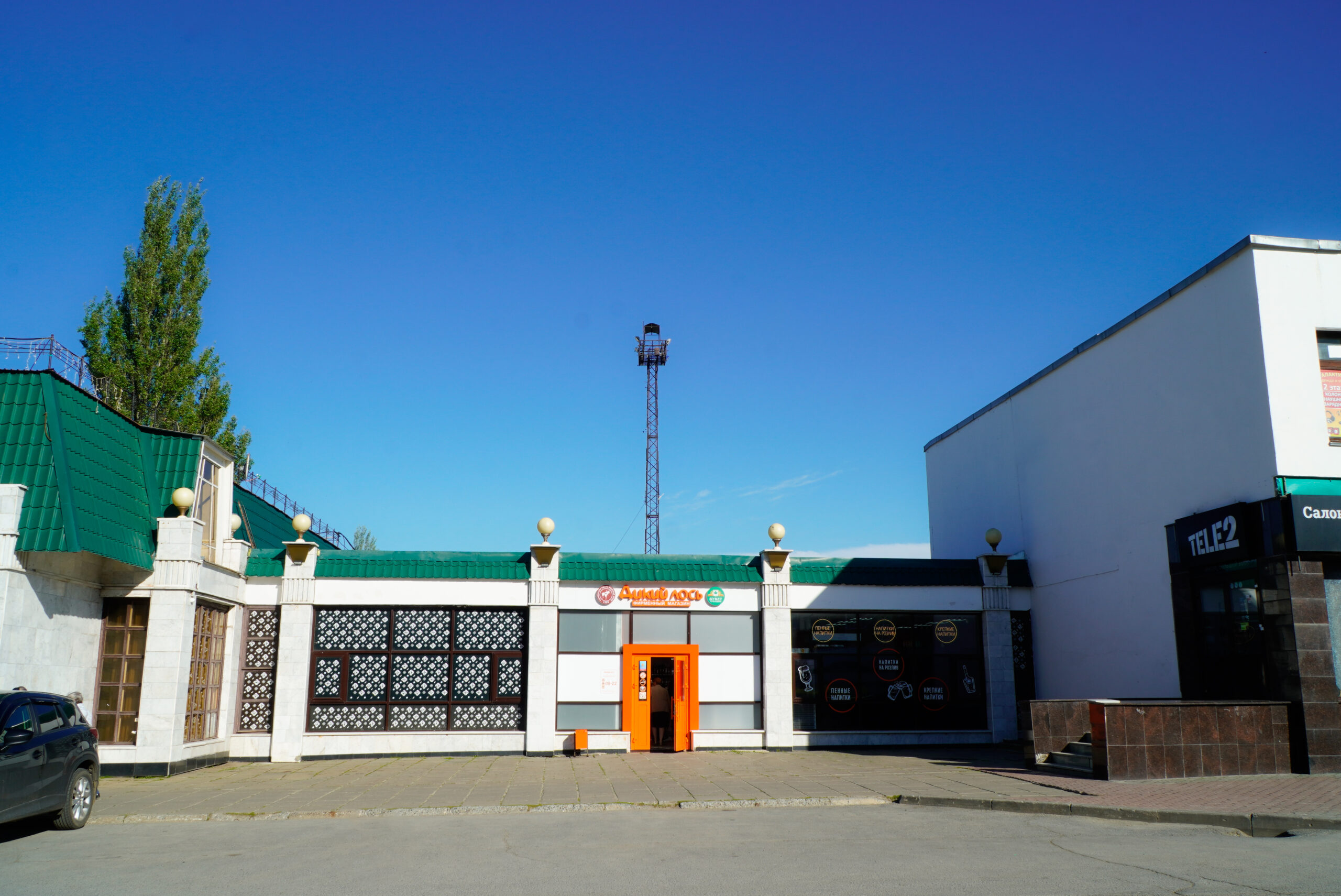 Дикий лось