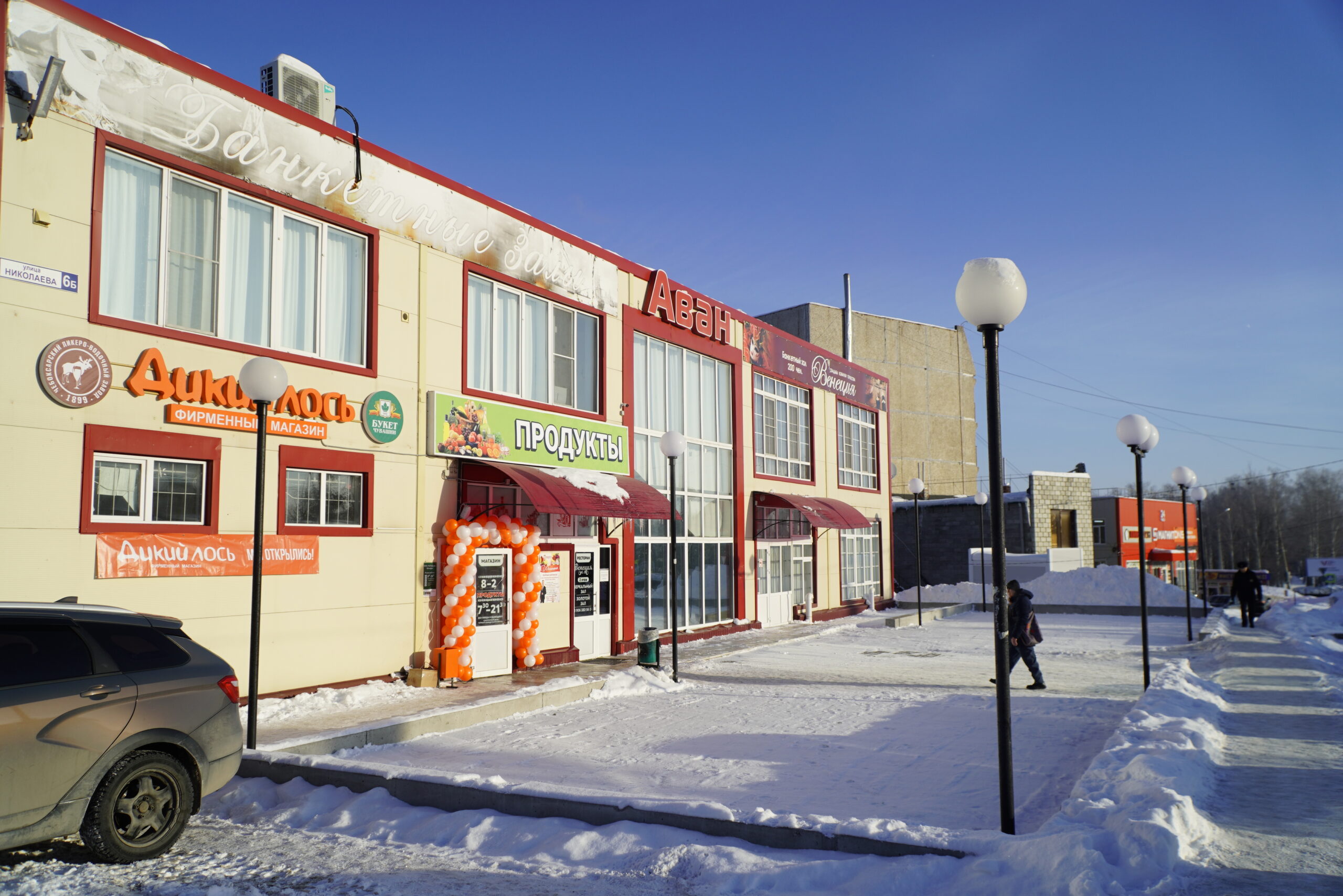 Дикий лось