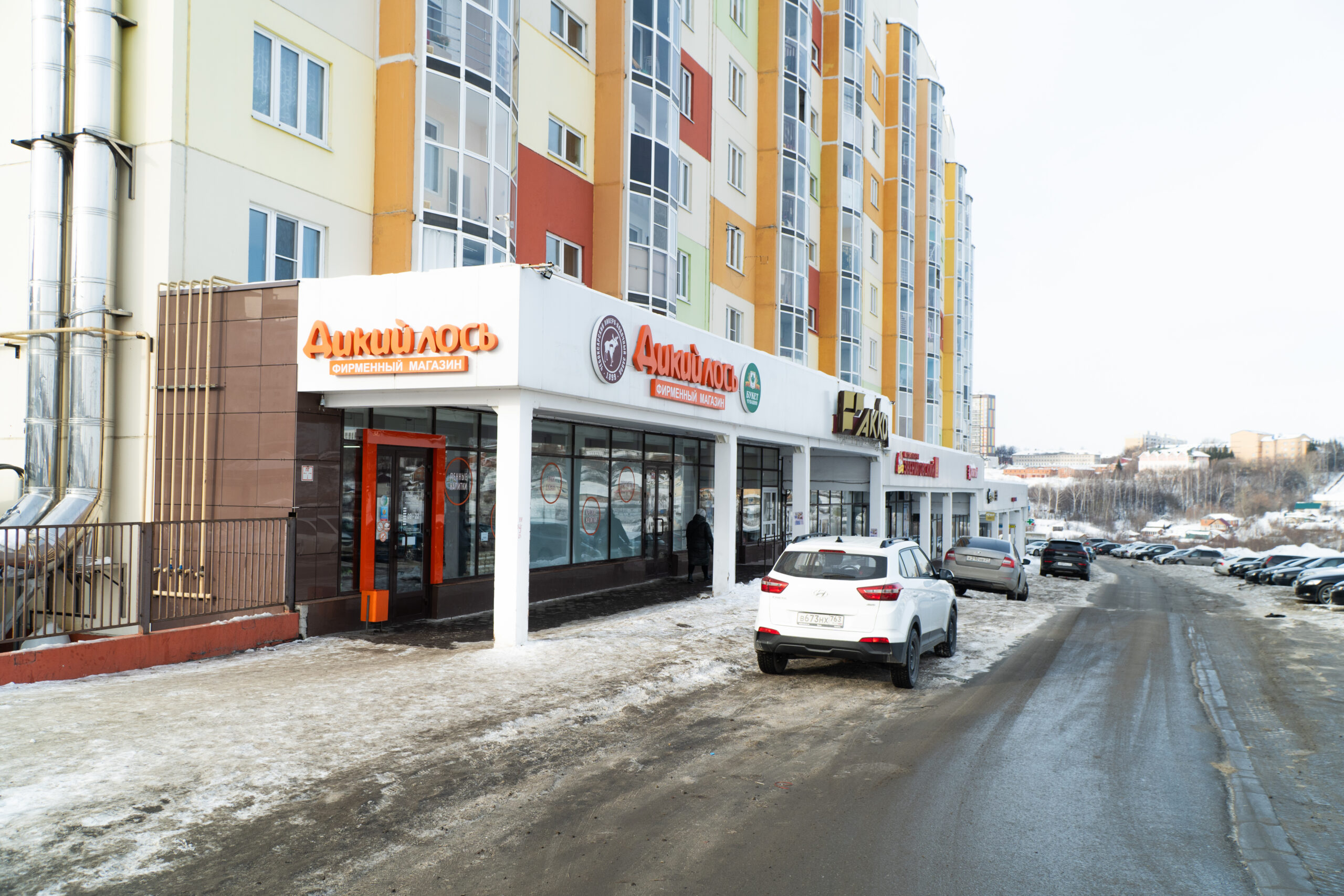 Дикий лось