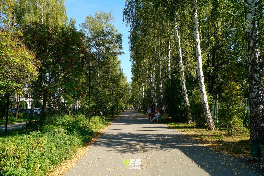 Аллея Ветеранов