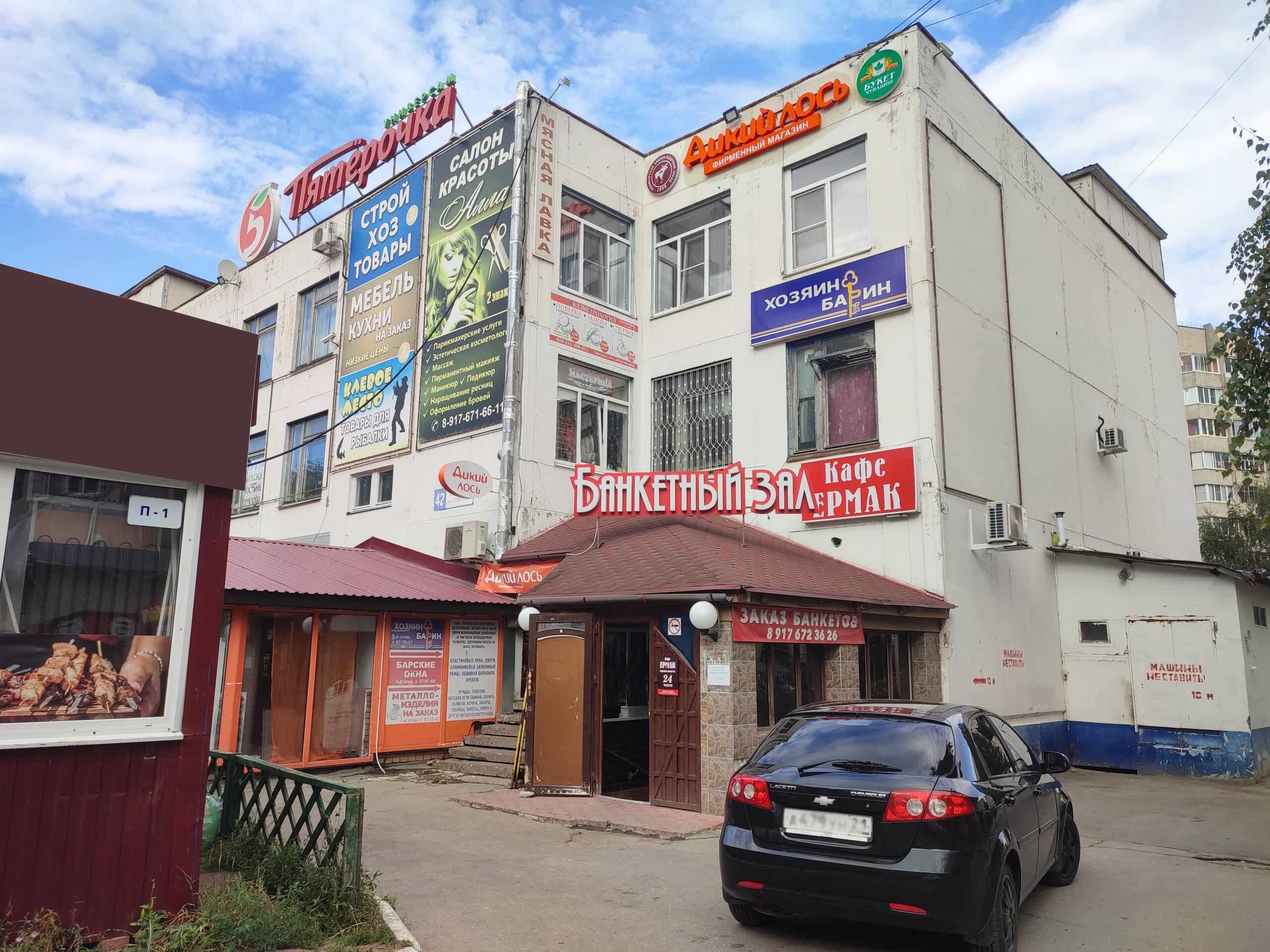 Дикий лось