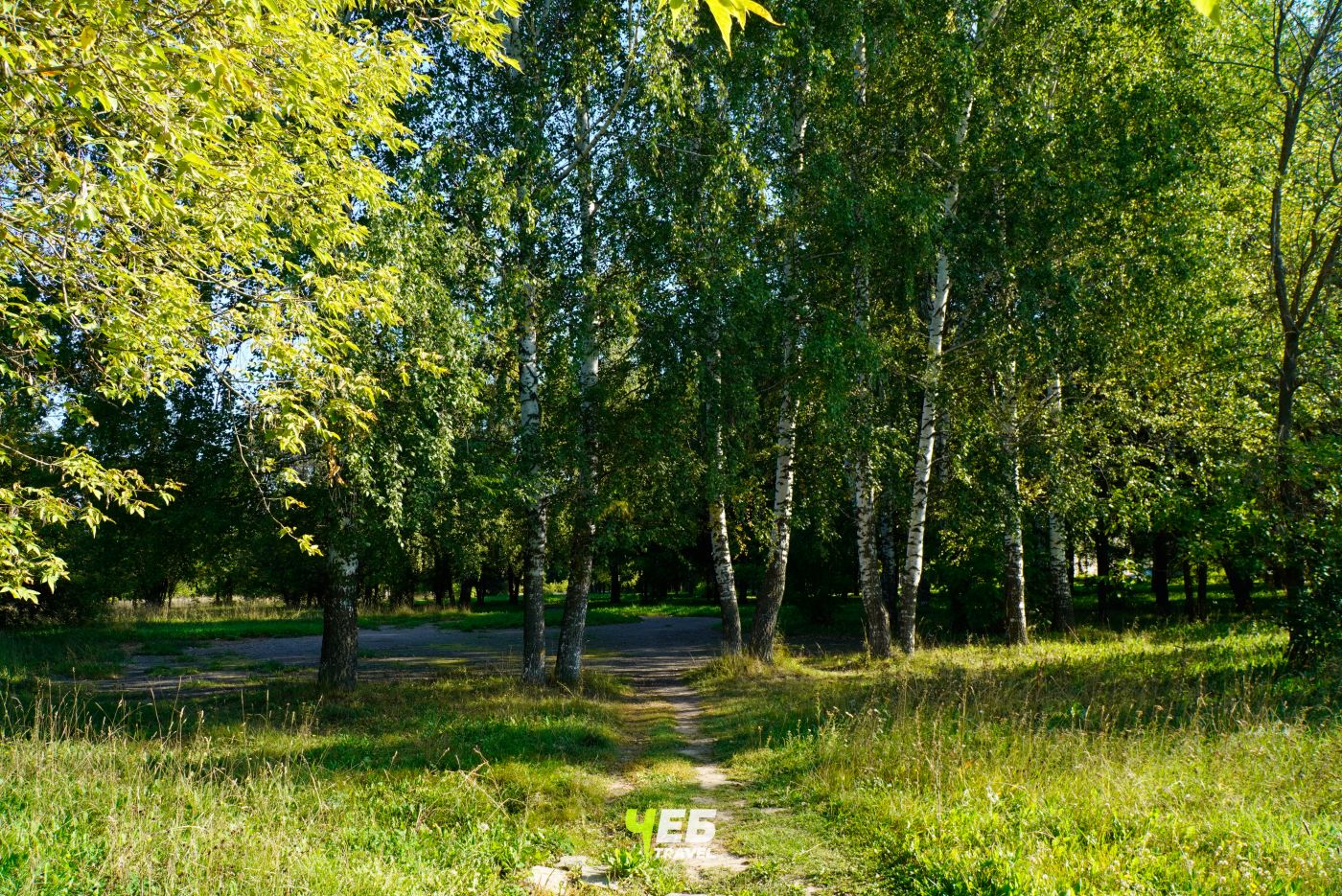 Лапсарский парк