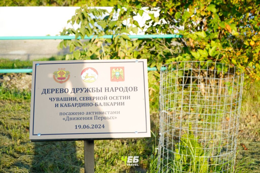 Дерево Дружбы Народов